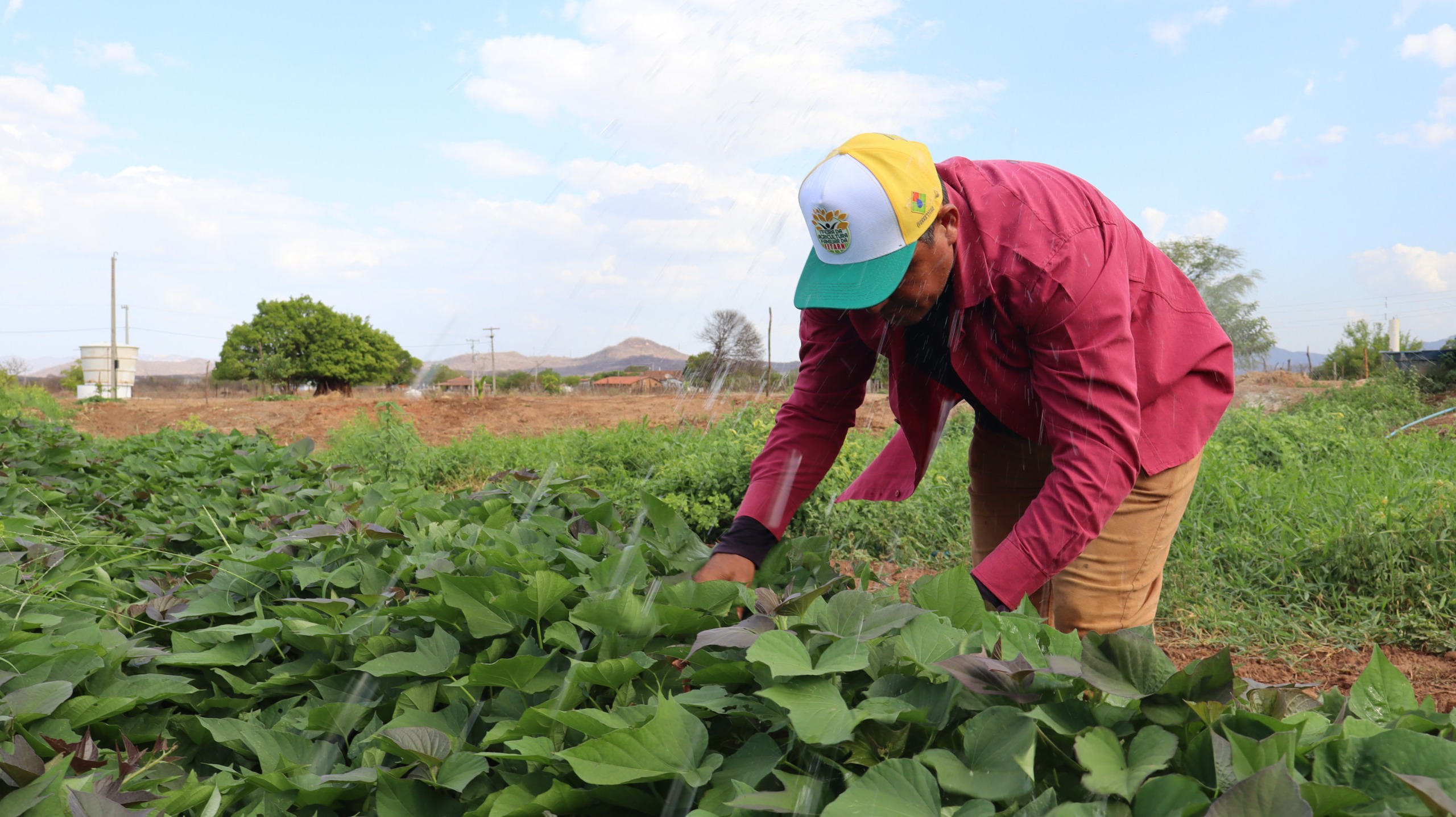 Acesso à terra muda a vida de agricultor familiar beneficiado pelo Crédito Fundiário no RN