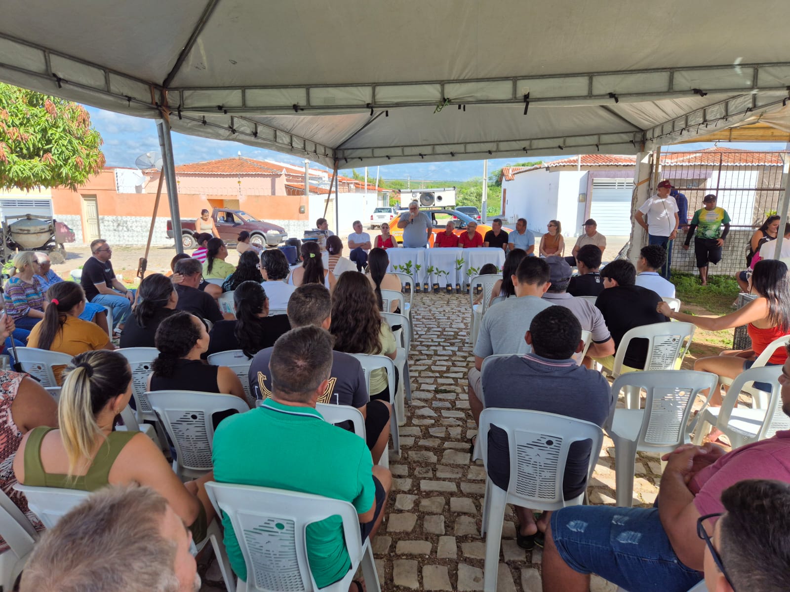 Distribuição de mudas impulsiona cajucultura e beneficia mais de 200 famílias em Itaú/RN